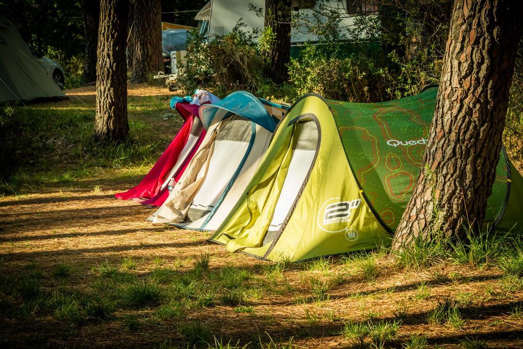 Camping La Sousta**** Remoulins Exterior foto